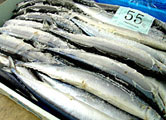 daiwa-sanma.jpg