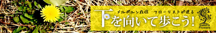 Logo for sakuraflowers