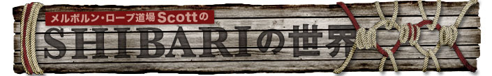 Logo for shibari