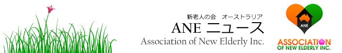 Logo for ane