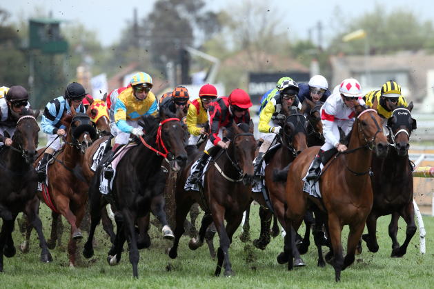 コーフィールドカップ Caulfield Cup10 Go豪メルボルン