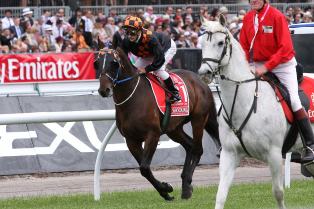 Spring Racing Carnival 開催中 Go豪メルボルン