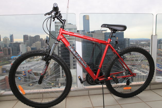 dunlop blackhawk mountain bike